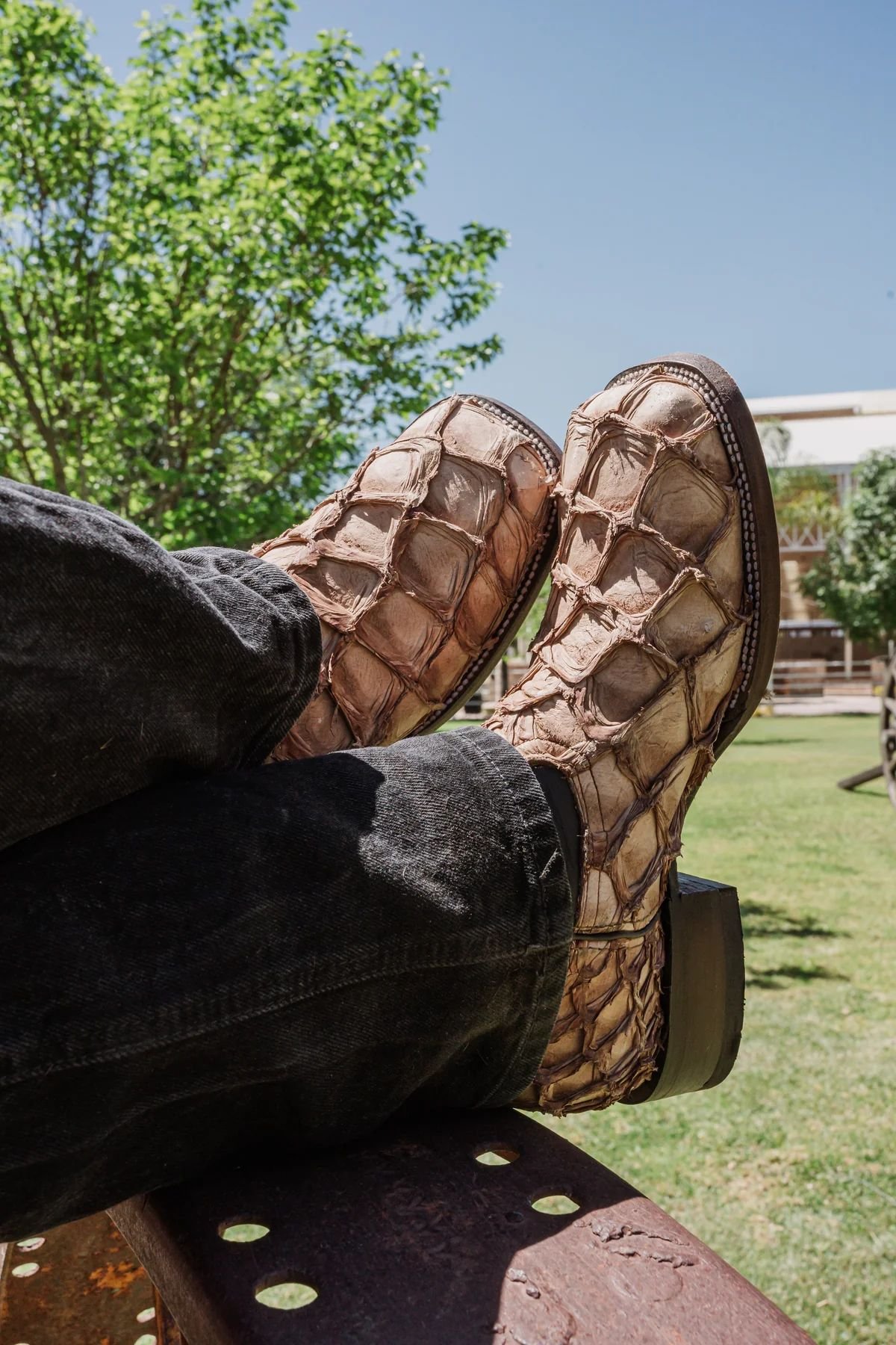BOTA VAQUERA BULLDOG PESCADO MINK.
