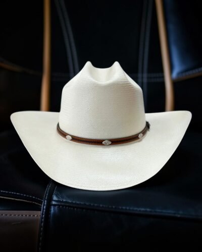 Sombrero Stetson Alamo 8x de Paja